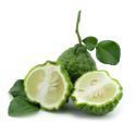 bergamot essential oil